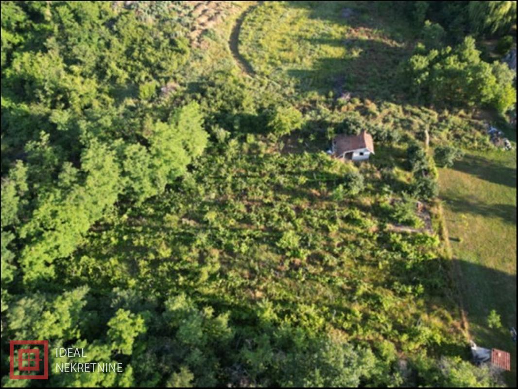 prodaja nekretnina