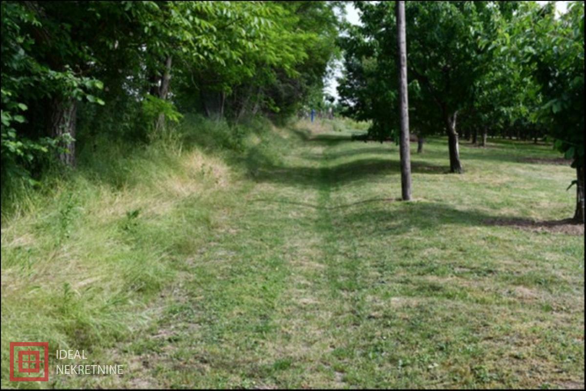 prodaja nekretnina