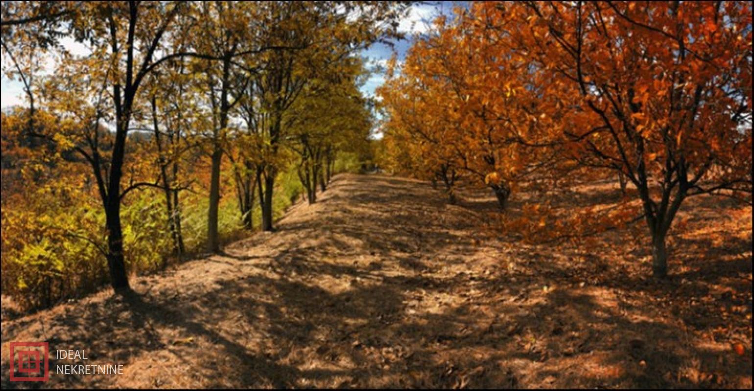 prodaja nekretnina