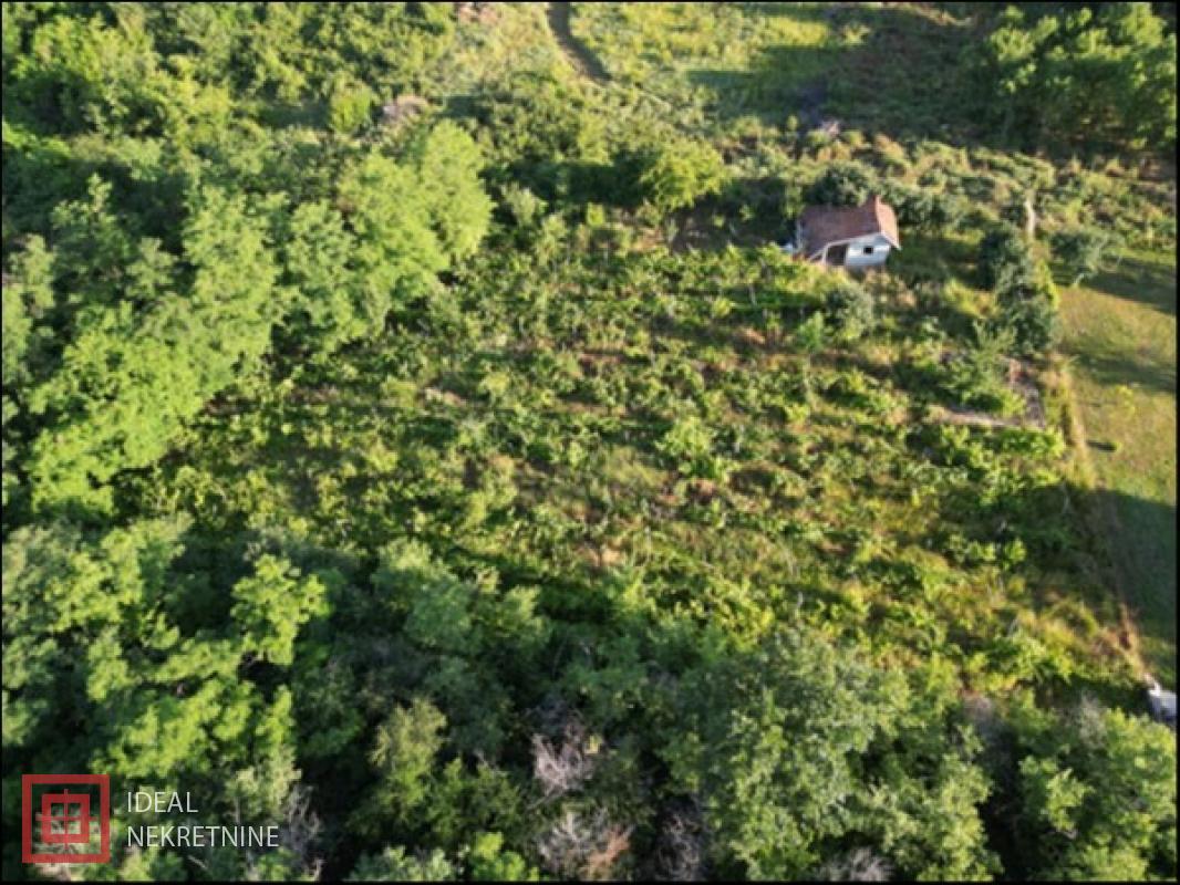 prodaja nekretnina