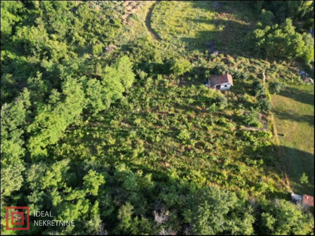 prodaja nekretnina